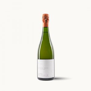 Charles Dufour Les Instantenes